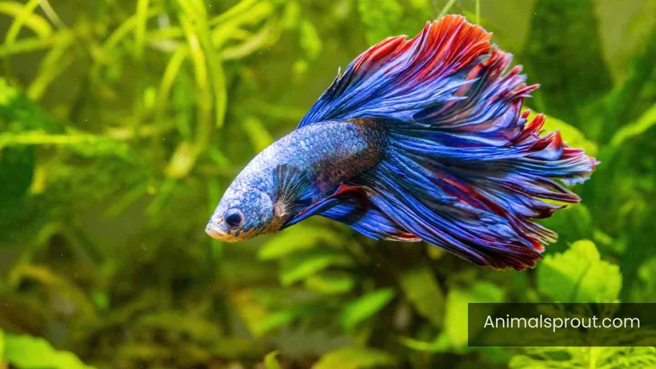 Animals That Are Not Mammals