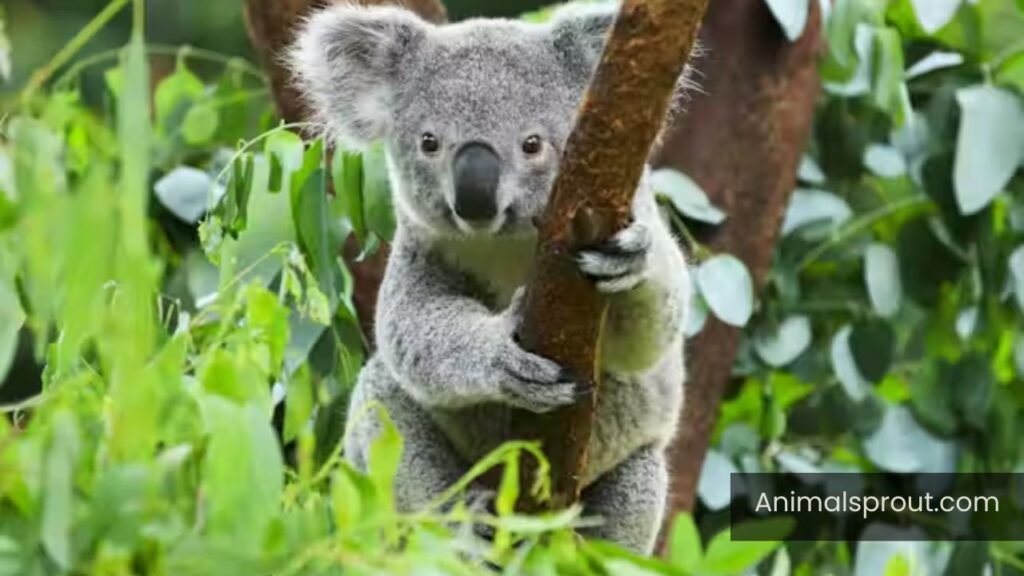 top 10 dirtiest animals in the world