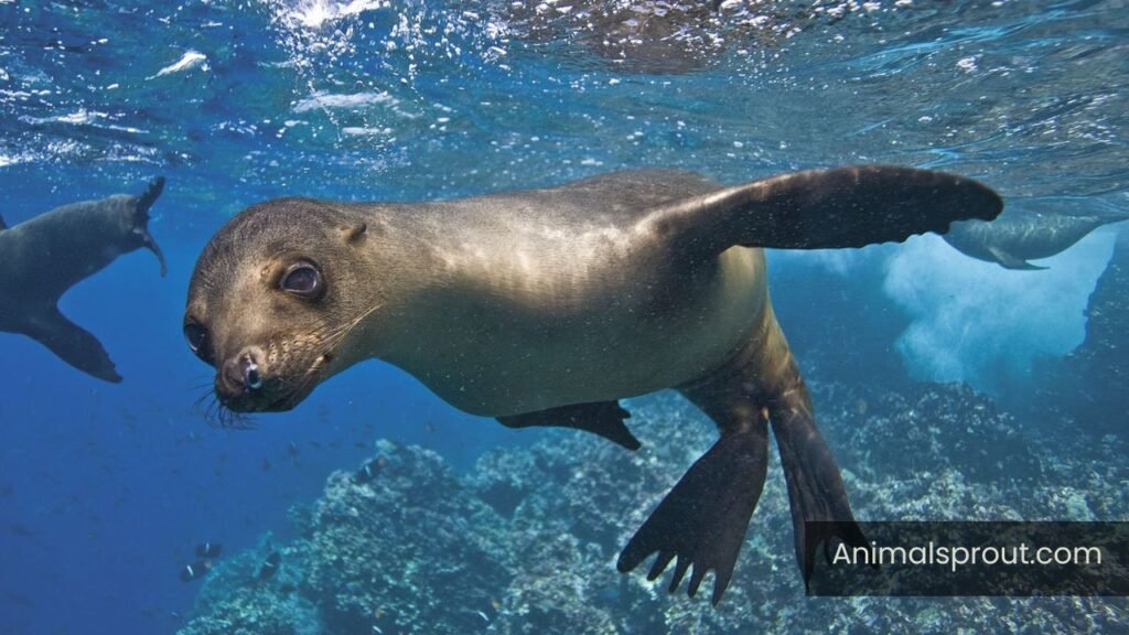 animal without legs