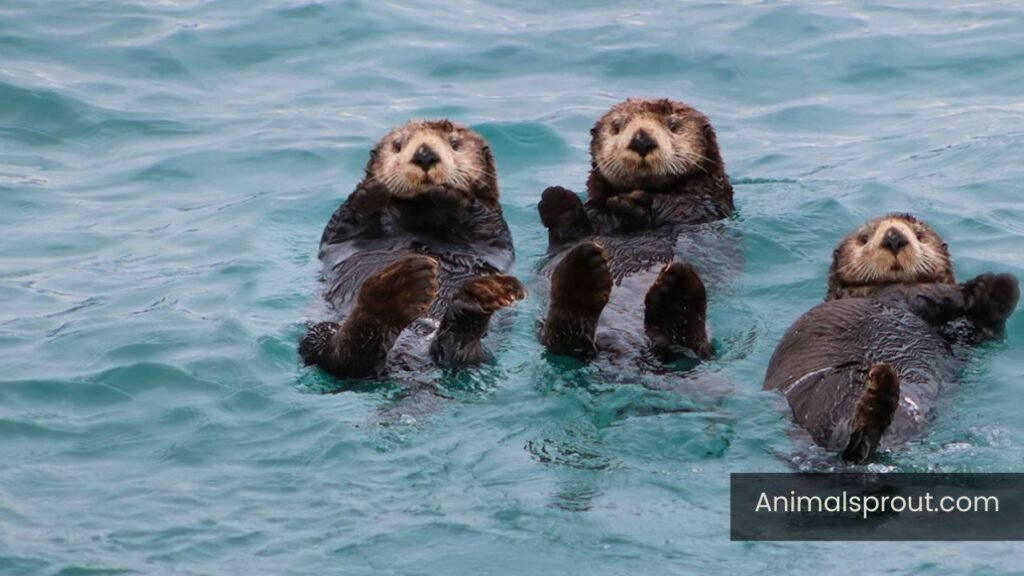 highly energetic animals