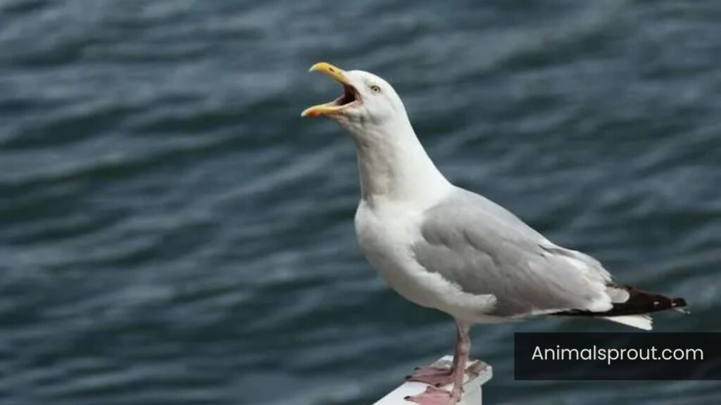 annoying animals list