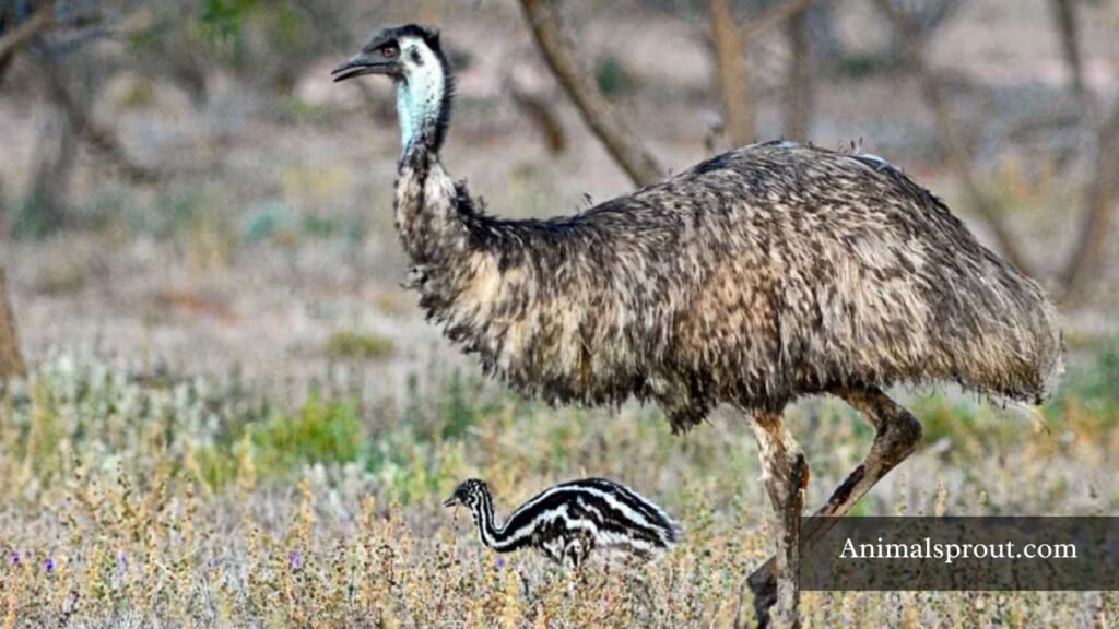 bipedal animals list
