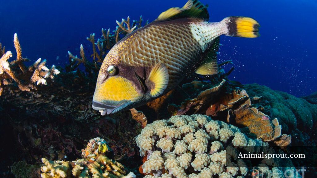 what dangerous animals live in the philippines